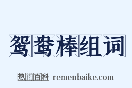 鸳鸯棒组词是什么意思的图片